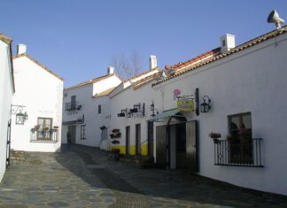 Czy Shima to dobra marka?