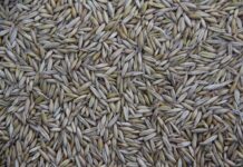 Czy Ina produkuje pompy wody? Czy Ina produkuje pompy wody?