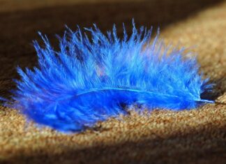 Jaka wykładzina do kampera?