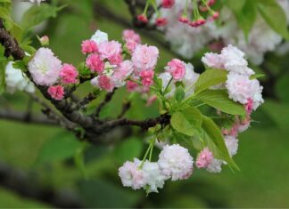 Jaka jest żywotność sprzęgła?