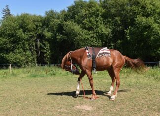 Czy opłaca się montować kolektory słoneczne?