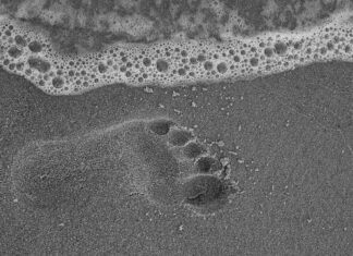 Ile kroków w Polonezie?