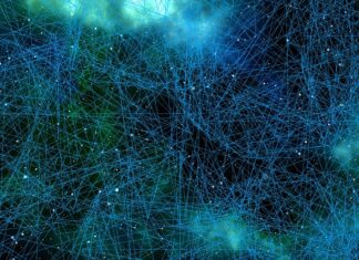 Czy wielkość mózgu wpływa na inteligencję?