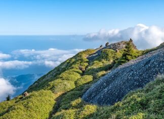 Co oznacza M c na oponie motocyklowej?
