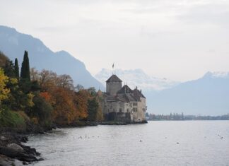 Jaki powinien być luz na kierownicy?