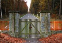 Jakie koło dojazdowe do ford s max? Jakie koło dojazdowe do ford s max?