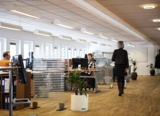 Co to za firma dolz?