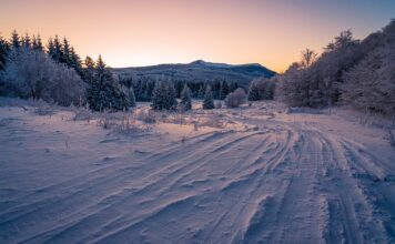 Ile kosztuje wymiana opon w motocyklu? Ile kosztuje wymiana opon w motocyklu?