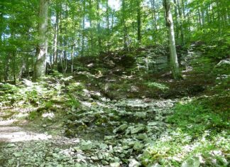 Ile kosztuje zrobienie głośnego wydechu?