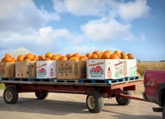 Jak kupić używaną skrzynie biegów?