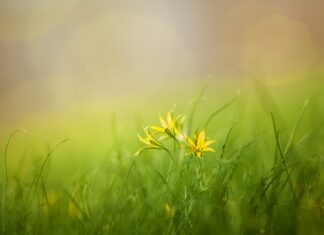 Co oznacza S na kompasie?