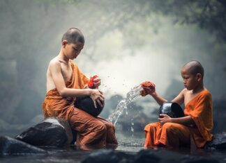 Co daje czyszczenie kolektora?