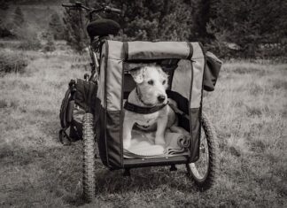 Z jakich profili zrobić przyczepkę?