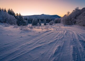 Czy można stosować zamienniki opon?