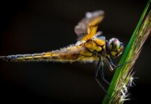 Jakie opony do ścigacza? Jakie opony do ścigacza?