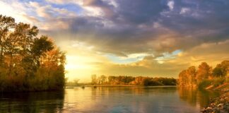 Czy koło dwumasowe może zablokować silnik?