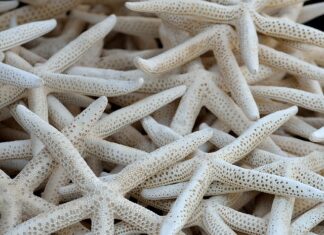 Ile kosztuje wymiana kolektora wydechowego?