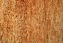 Jaka sklejka na podłogę do kampera? Jaka sklejka na podłogę do kampera?