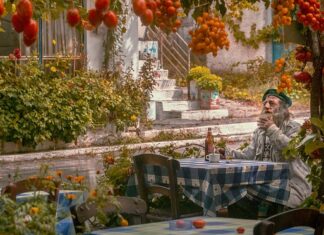 Ile pali Skoda Karoq 2.0 TDI?