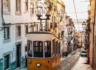 Ile waży wózek widłowy Suchedniów?