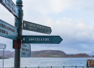 Jak najlepiej zapamiętać kierunki świata?