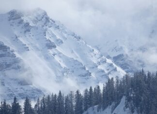 Ile kosztuje przegląd instalacji solarnej?