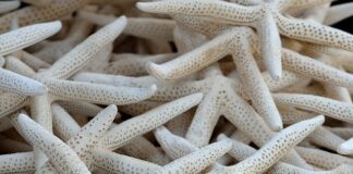 Dlaczego pękł kolektor wydechowy?