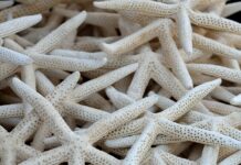 Czy na zimę można wyłączyć kolektory słoneczne? Czy na zimę można wyłączyć kolektory słoneczne?