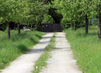 Jakie koło dojazdowe do BMW E87?