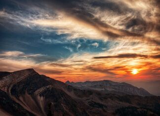 Ile kosztuje godzina pracy bizona?