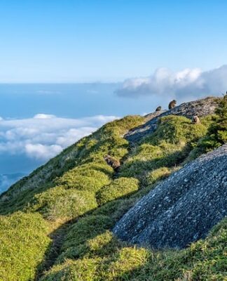 Jaka jest różnica między klejem do styropianu a klejem do siatki?