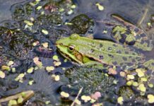 Ile razy można kleić oponę? Ile razy można kleić oponę?