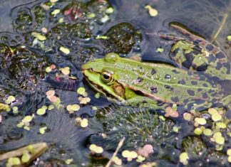 Ile razy można kleić oponę?