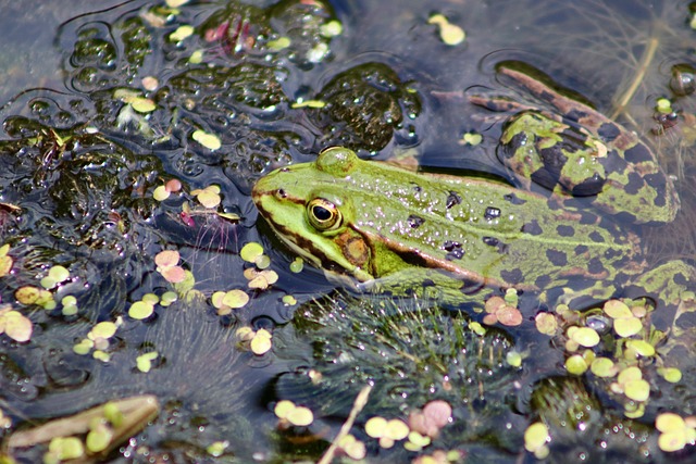 Ile razy można kleić oponę? Ile razy można kleić oponę?
