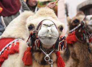Do czego służy garb w kombinezonie?