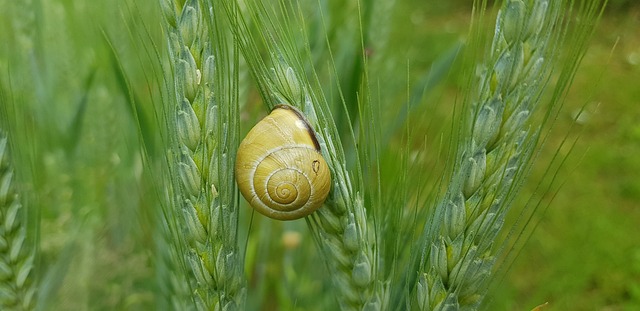 Jak uszczelnić kolektor ssący? Jak uszczelnić kolektor ssący?