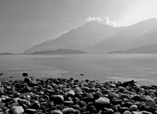 Ile kosztuje koło do samochodu?